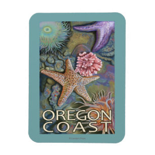 Ímã Costa Tidepool de Oregon
