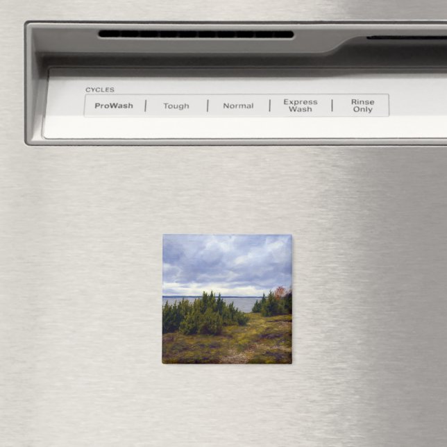 Imã Costa Tranquila de Vormsi (In Situ (Dishwasher))