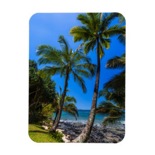 Ímã Costa tropical 2