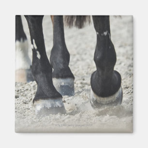 Imã costela do benalamadena, malaga, Costa del Sol, 2