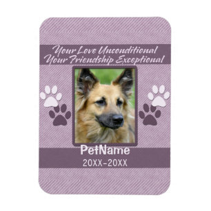 Ímã Costume incondicional da simpatia do animal de