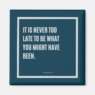 Imã Cota Magnética