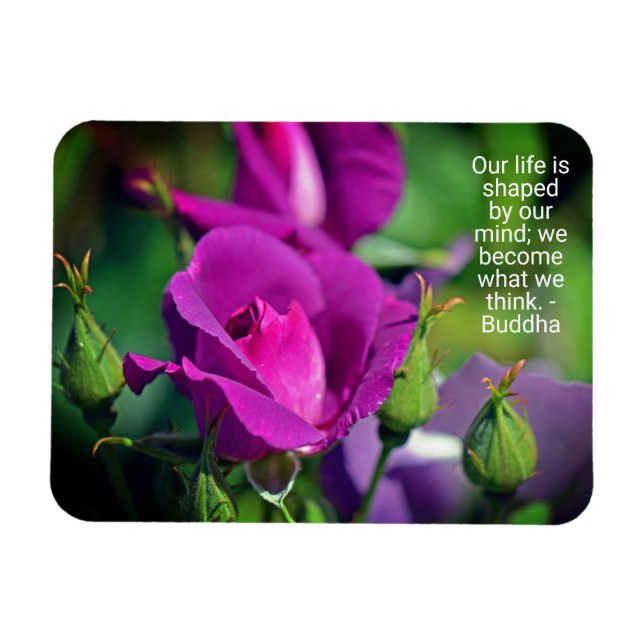 Ímã Cota Motivacional Rosa Roxo (Horizontal)