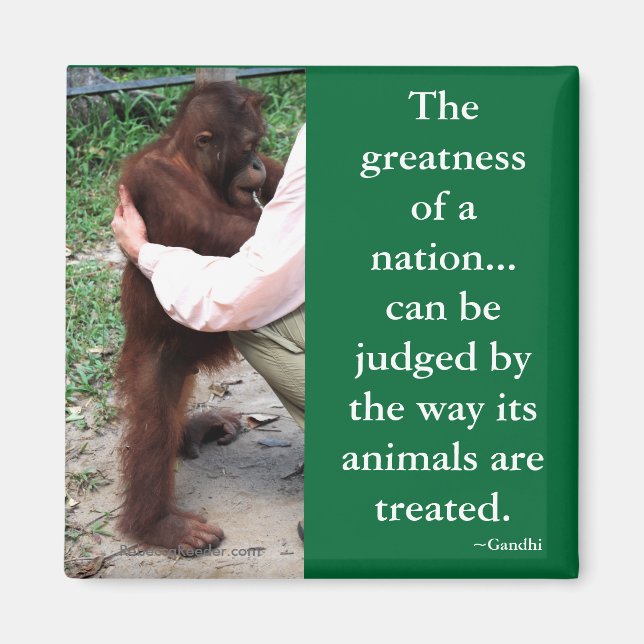 Imã Cotação Animal de Gandhi (Frente)