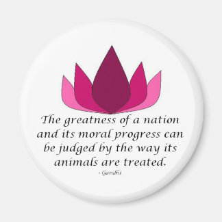 Imã Cotação Gandhi