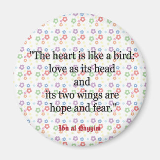 Imã Cotas Magnéticas