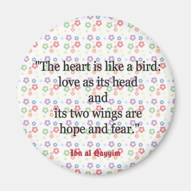 Imã Cotas Magnéticas (Frente)