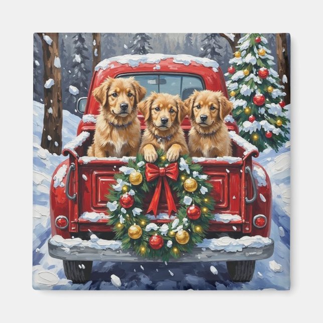 Imã Coton de Tulear Christmas Red Truck Holiday (Frente)