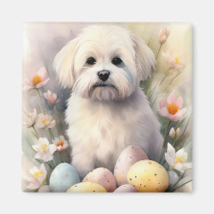 Imã Coton De Tulear com Feriado de Ovos de Páscoa