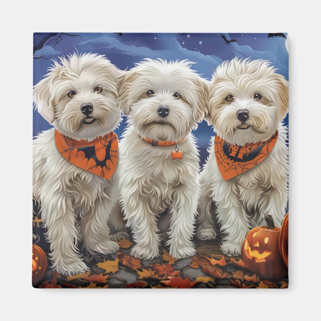 Imã Coton De Tulear Halloween Spooky (Frente)