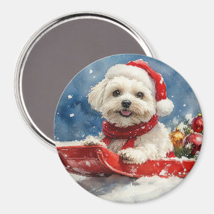 Imã Coton De Tulear no Trenó Deixe Nevar Natal