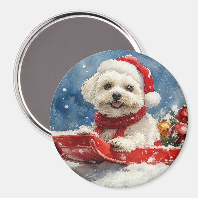 Imã Coton De Tulear no Trenó Deixe Nevar Natal (Front/Back)