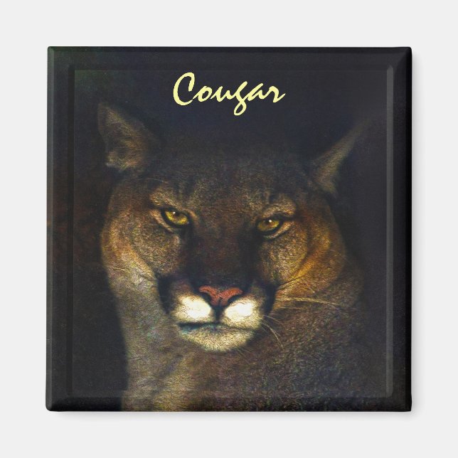 Imã Cougar Mountain Lion Big Cat Art (Frente)