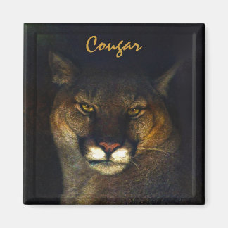 Imã Cougar Mountain Lion Big Cat Art