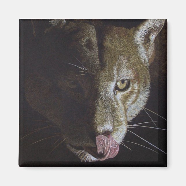 Imã Cougar Night (Frente)