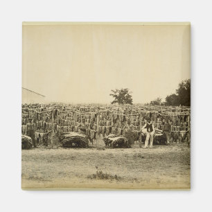 Imã Couro de secagem, Argentina (impressão de albumina