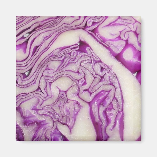 Imã Couve-vermelha (Frente)