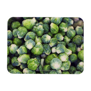 Ímã Couves de Bruxelas frescas verde-clara