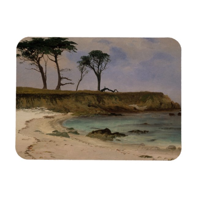 Ímã Cove do mar (Horizontal)