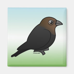 Imã Cowbird Brown-dirigido