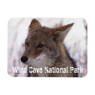Ímã Coyote Face, Parque Nacional da Caverna Eólica, S
