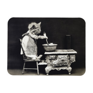 Ímã Cozinhar e Baking de Kitten Engraçados e Bonitos