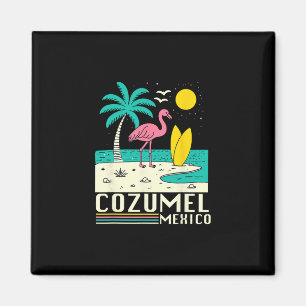 Imã Cozumel México Lembrança Férias Viagem Homens Mulh