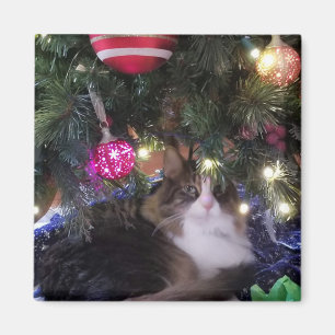 Imã Cozy Cat sob a árvore de Natal