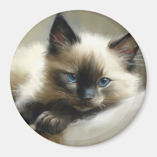 Imã Cozy Companion Siamese Kitten