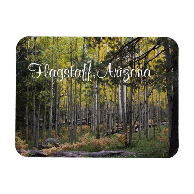 Ímã Cozy spot in Flagstaff (Horizontal)