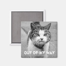 Imã Crabby Cat Magnet