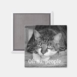Imã Crabby Cat, "Oh não, pessoas."