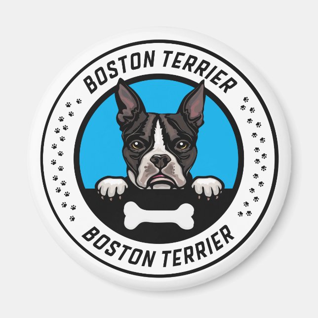 Imã Crachá de Ilustração de Peeking de Boston Terrier (Frente)