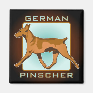 Imã Crachá de Pinscher Alemão, quadrado