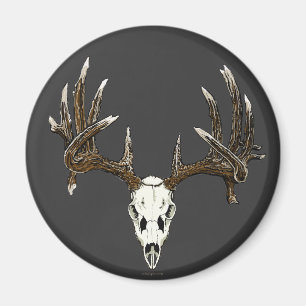 Imã Crânio 1 dos cervos de Whitetail