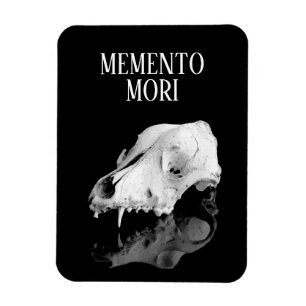 Ímã Crânio animal