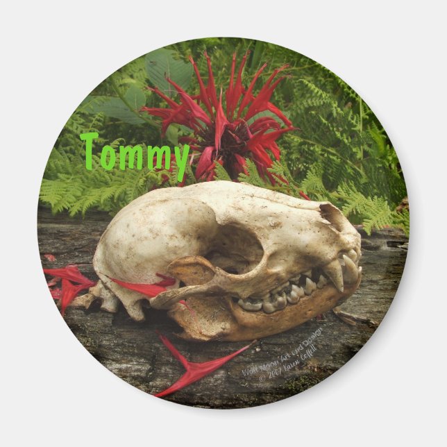 Imã Crânio de Raccoon com samambaias e Monarda vermelh (Frente)