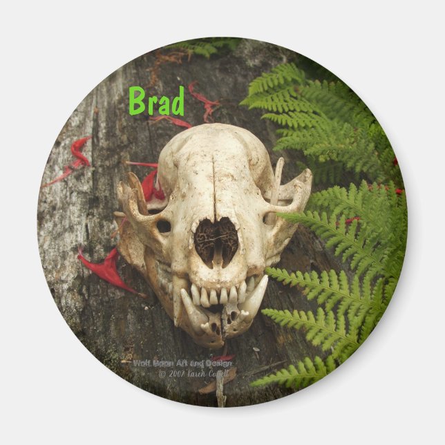 Imã Crânio de Raccoon com samambaias e Monarda vermelh (Frente)