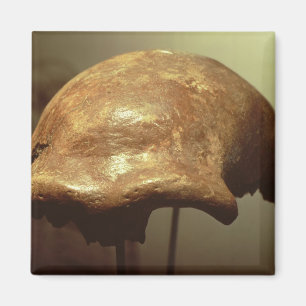 Imã Crânio de um Neanderthal