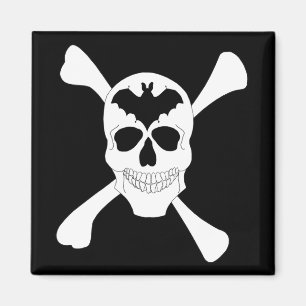 Imã Crânio E Crossbones