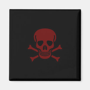 Imã Crânio e Ossos