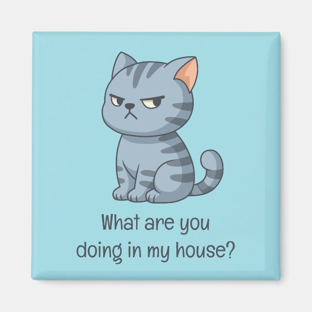 Imã Cranky Grey Tabby Cat Funny Text Blue (Frente)