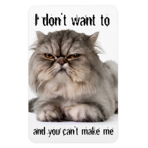 Ímã Cranky kitty flexible magnet, "I don't want to..."
