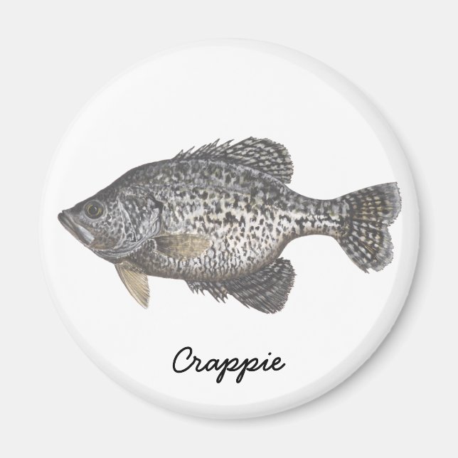 Imã CRAPPIE, Crappie (Frente)