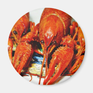 Imã Crawdads Craytfish dos lagostins