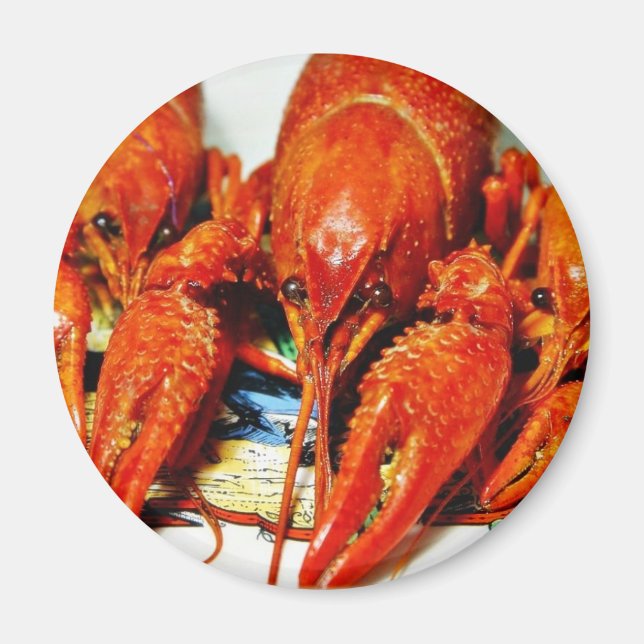 Imã Crawfish Crawads Craytfish (Frente)