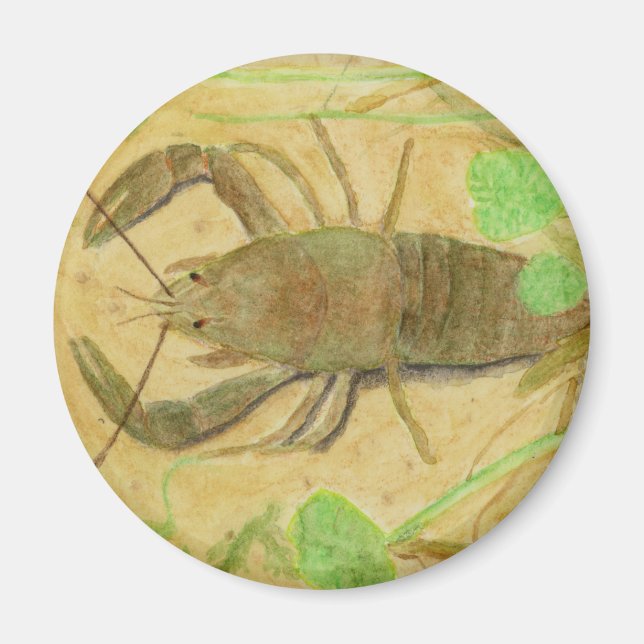 Imã Crayfish (Frente)