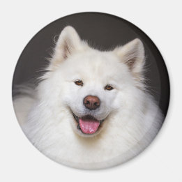 Imã CRB Smiling Magnet