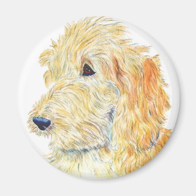 Imã Cream Labradoodle Magnet (Frente)