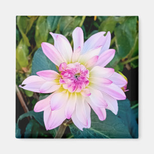 Imã Creme e flor rosa